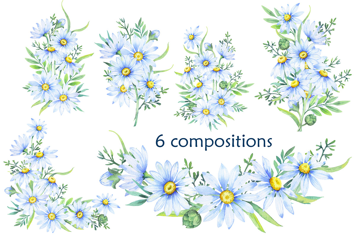 Delicate daisies, a Decorative Illustration by EshaStudio (Photo 3 of 9)