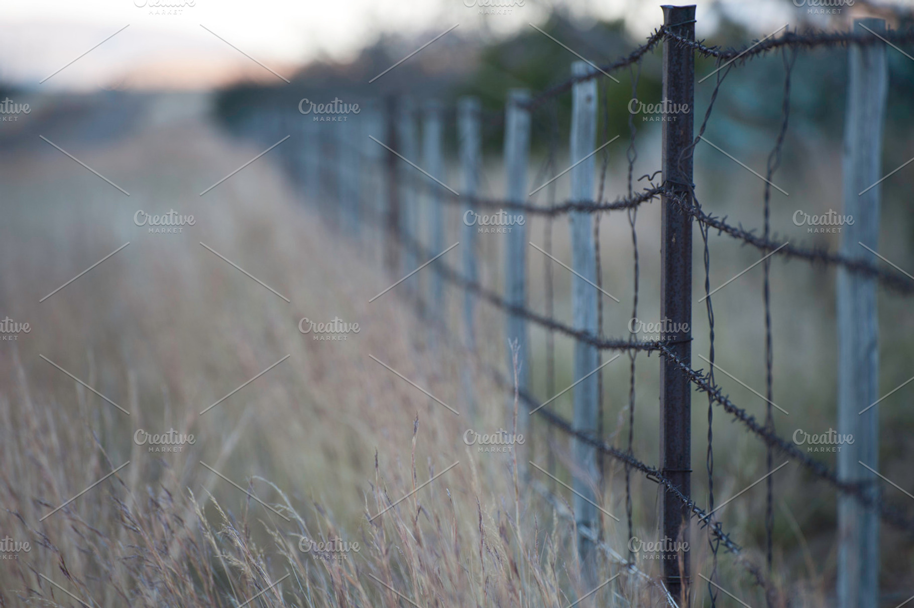 Fence Stock Photo Containing Fence And Barb Wire