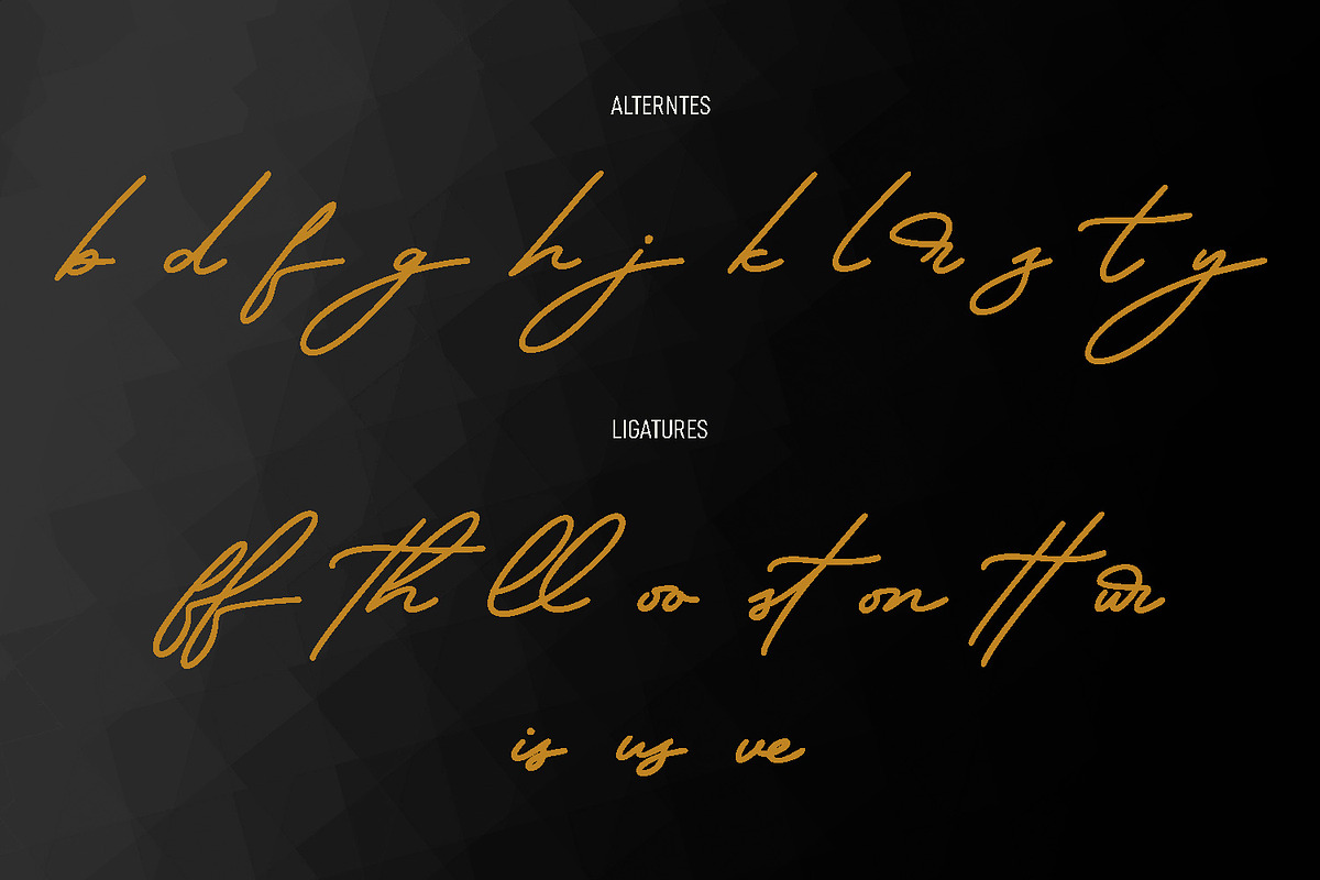 Olds Murray Signature Script Font, a Script Font by Maulana Creative (Photo 9 of 10)