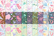 Underwater watercolor patterns, a Pattern Graphic by Piñata (Thumbnail 4 of 8)