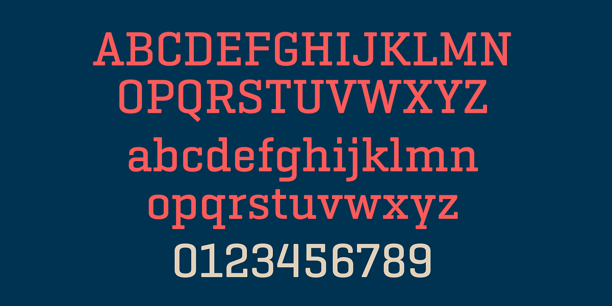 Geogrotesque Slab, a Slab Serif Font by Emtype Foundry (Photo 10 of 11)