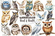 Watercolor Owl & Owlet Clipart, an Illustration by Dream Creation (Thumbnail 1 of 5)