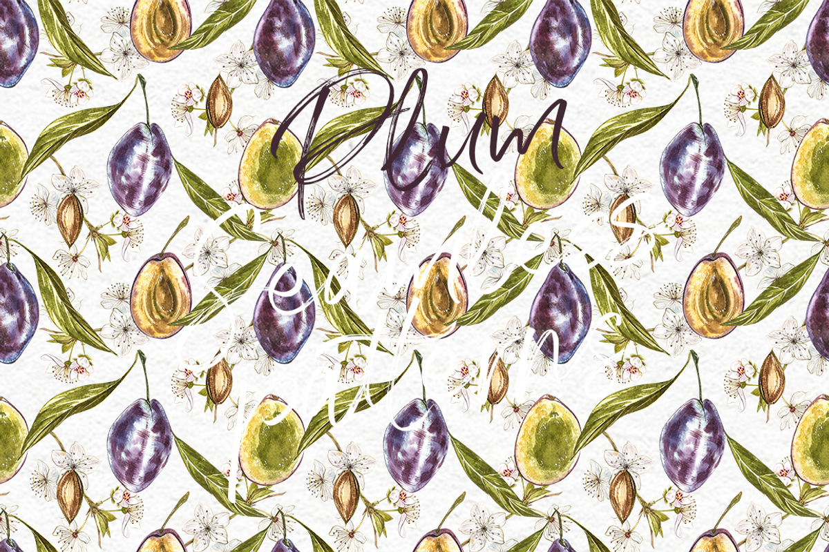 Plum in botanical style, a Food Illustration by Ann Astro (Photo 8 of 11)