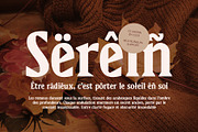 CS Sherin – Bold Font, a Serif Font by Craft Supply Co. (Thumbnail 7 of 8)