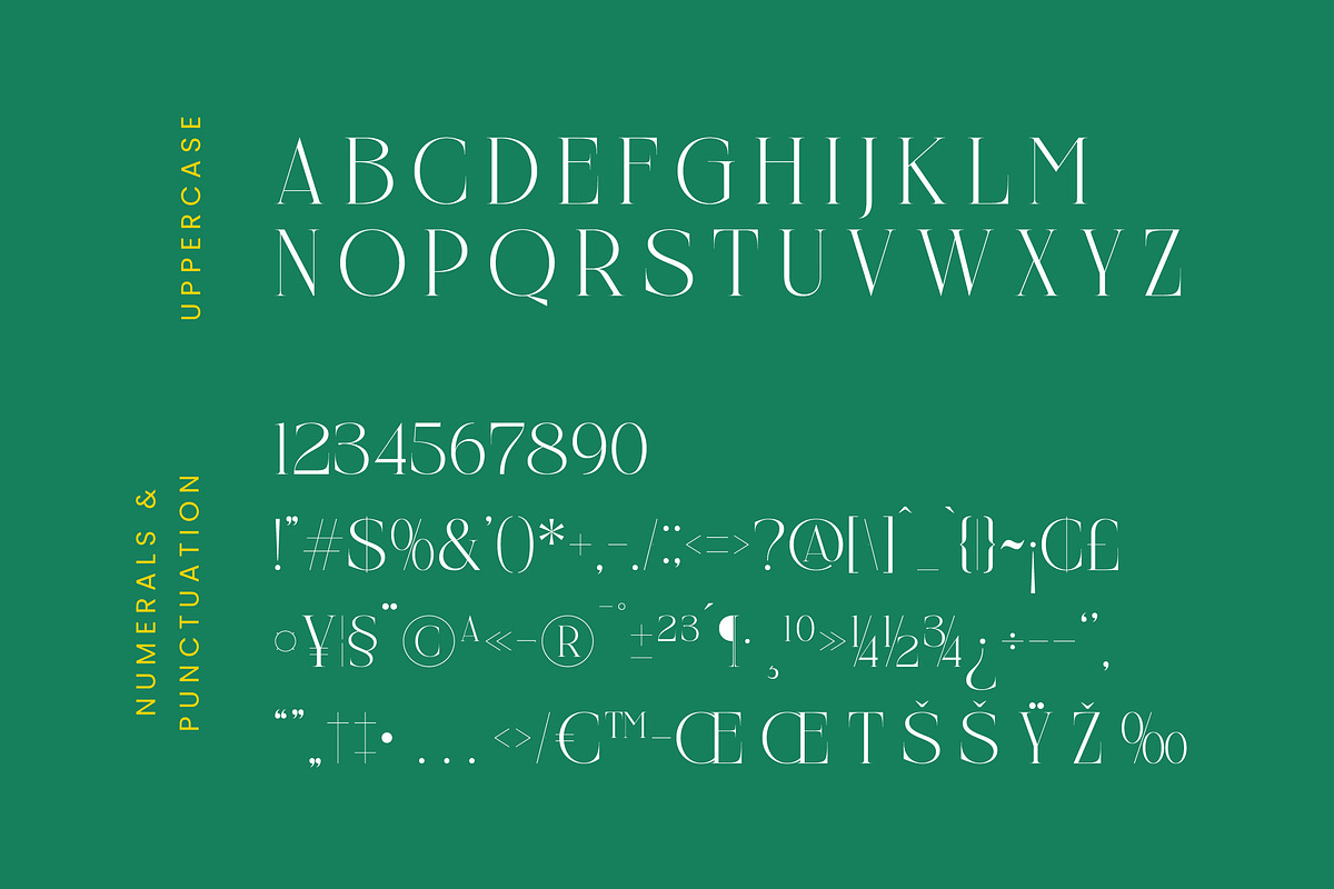 Nelhinco Modern Display Serif, a Serif Font by Letterena Studios (Photo 13 of 15)