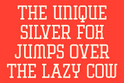 CS Akrone – Slab Serif Font, a Slab Serif Font by Craft Supply Co. (Thumbnail 6 of 8)