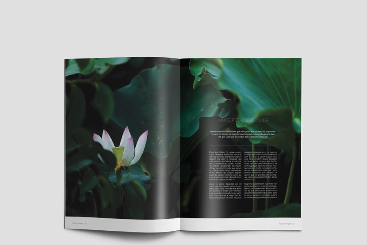 Nature Magazine, a Magazine Template by Alhaytar (Photo 14 of 15)