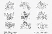 “Charm” Tropical Leaves Lineart, an Illustration by Sense Library (Thumbnail 7 of 23)