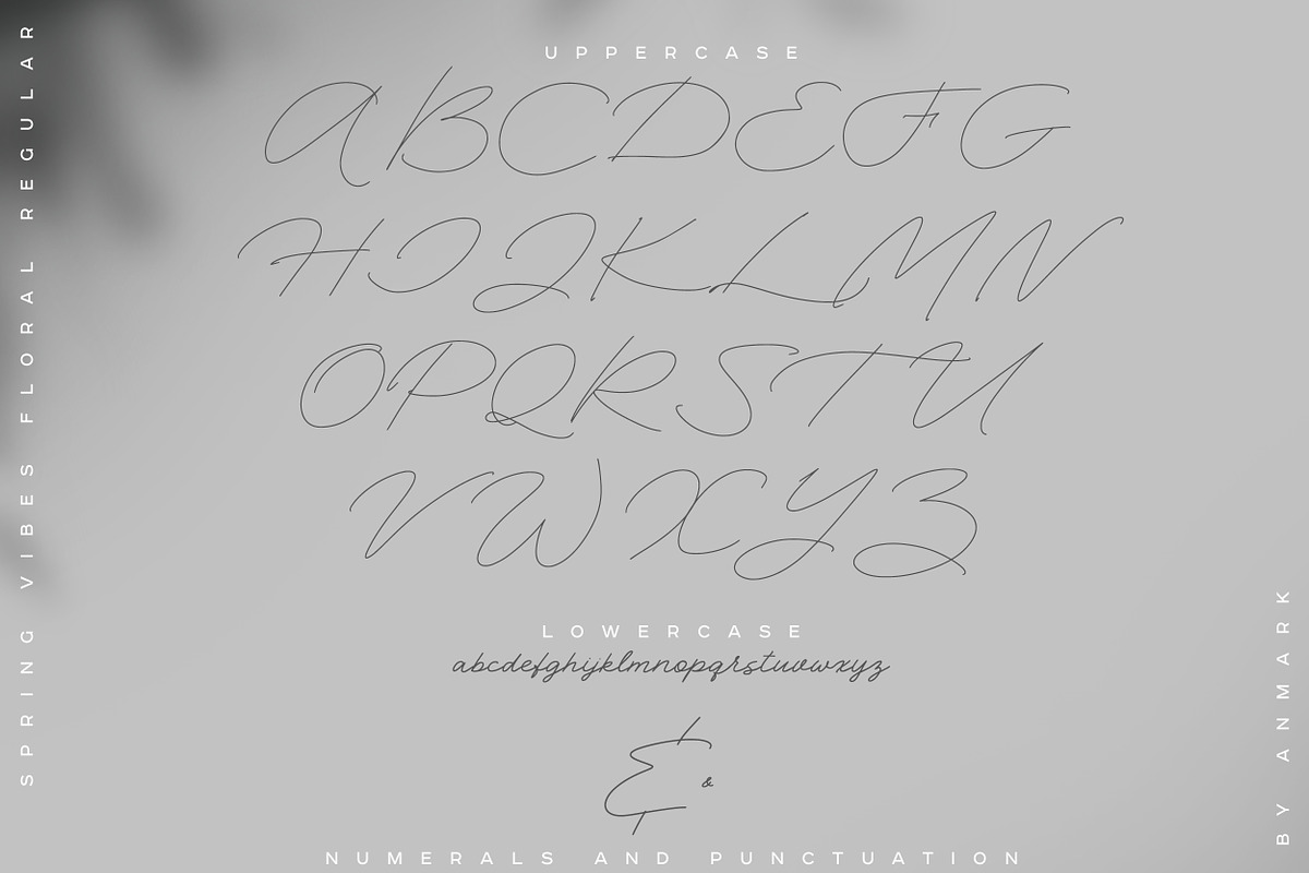 Spring Vibes. Floral Font + Frames, a Script Font by AnMark (Photo 14 of 15)