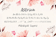Astorica - Modern Script fonts, a Script Font by Nahar_std (Thumbnail 6 of 7)