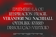 TBJ One Of A Kind Serif Font Family, a Serif Font by Taboja Studio (Thumbnail 21 of 21)