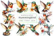 Watercolor Hummingbird Clipart, a Work Illustration by Dream Creation (Thumbnail 1 of 5)