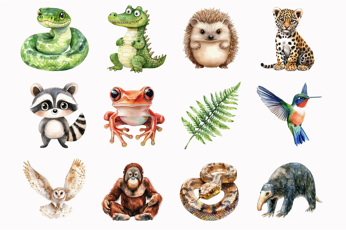 Rainforest Animals Clipart, an Illustration by Design Market (Photo 5 of 5)