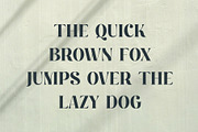 Montena Cottage Stylish Retro Serif, a Serif Font by Dylla_studio (Thumbnail 8 of 10)