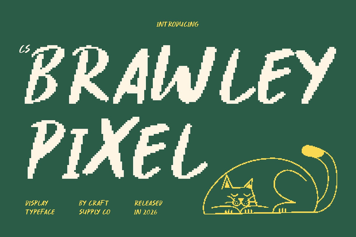 CS Brawley Pixel, a Sans Serif Font by Craft Supply Co. (Photo 1 of 8)