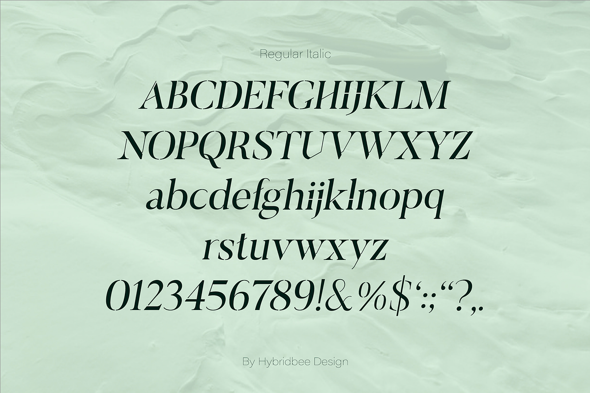 ELAYNE - Display Serif Font, a Serif Font by Hybridbee Design (Photo 5 of 10)