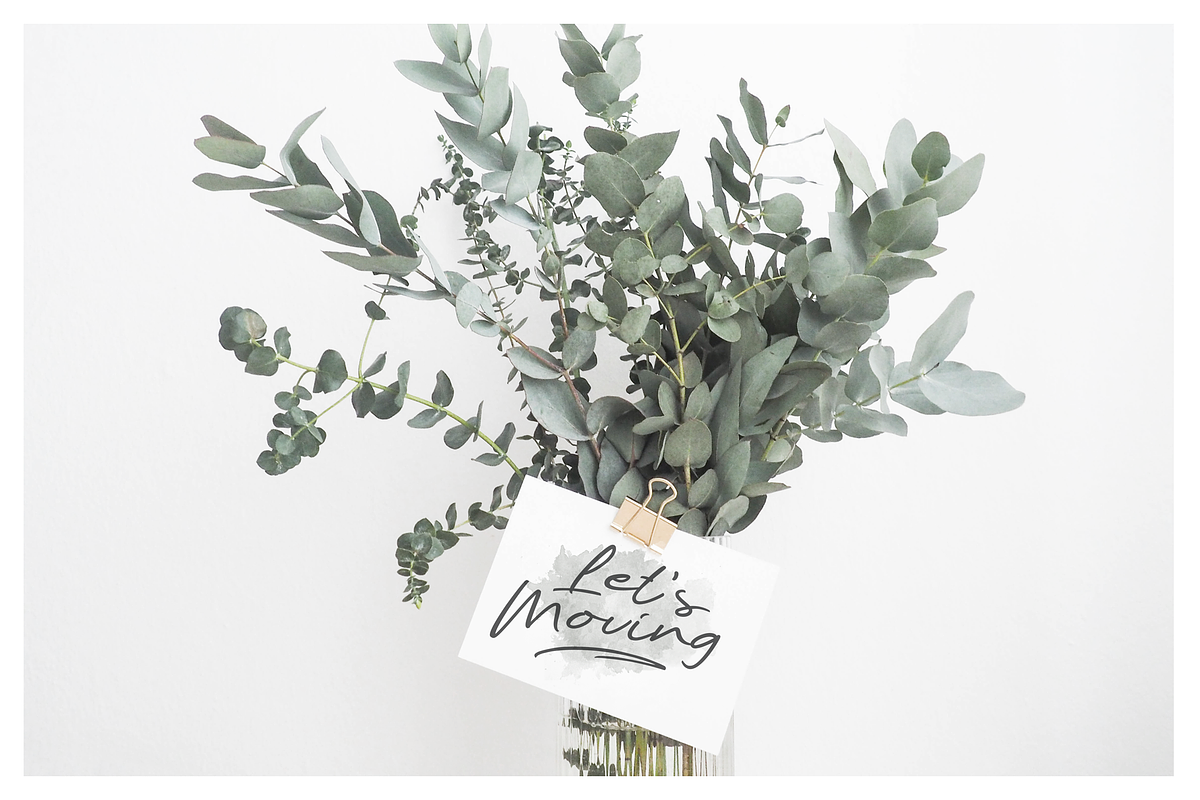 SALE! Menulist Typeface preview 3