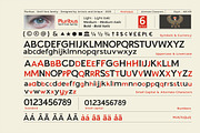 Pluribus - Serif font family, a Serif Font by Artistic & Unique (Thumbnail 4 of 15)