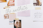 Avanti Casual Script in Bold & Thin, a Script Font by Jen Wagner Co (Thumbnail 3 of 14)