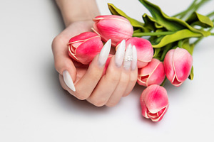 Hand holding pink tulips displaying long white nails, a Beauty & Fashion Photo by Olena Rudo