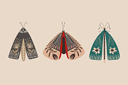 Folk Art Insects., an Animal Illustration by Annakniaz (Thumbnail 5 of 15)
