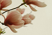 Magnolia - Elegant & Modern Sans, a Sans Serif Font by Schrifted Type (Thumbnail 7 of 8)