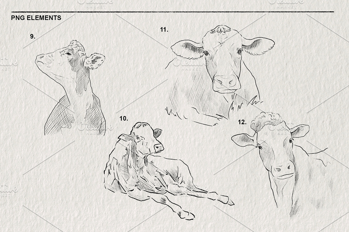 Sketch of a cow PNG, an Animal Illustration by LOKSKIH (Photo 5 of 7)