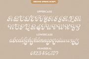 Greting Spring Duo, a Script Font by Letter Fresh (Thumbnail 11 of 13)
