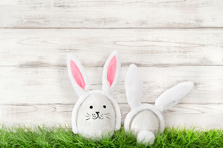 Funny Easter bunnies green grass, a Holiday Photo by LiliGraphie