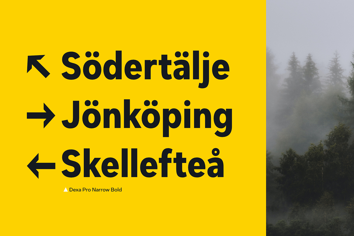 Dexa Pro Variable, a Sans Serif Font by Artegra (Photo 10 of 15)