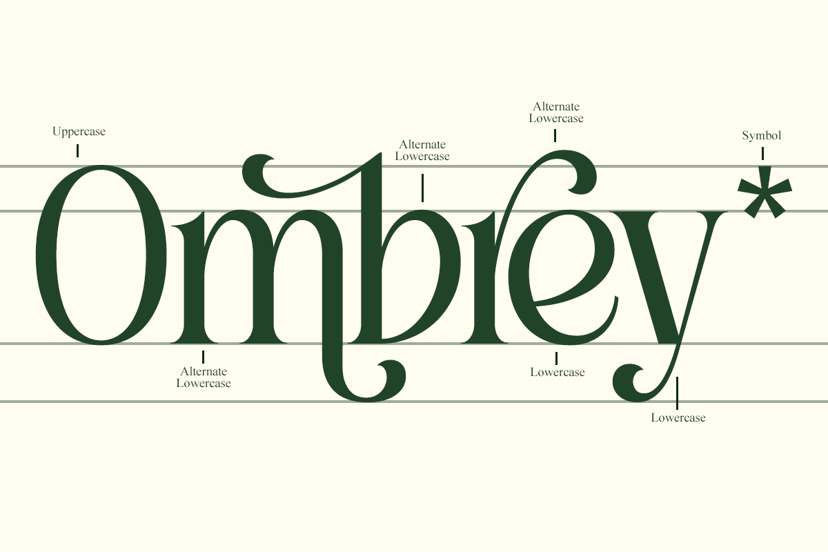 Roilega - Luxury Brand Family Font, a Serif Font by Pandeka Studio (Photo 2 of 11)