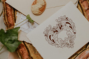 Victorian Hearts & Wings + Procreate, a Decorative Illustration by Skliarova (Thumbnail 3 of 10)