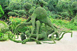Octopus, a Photo by saiko3p