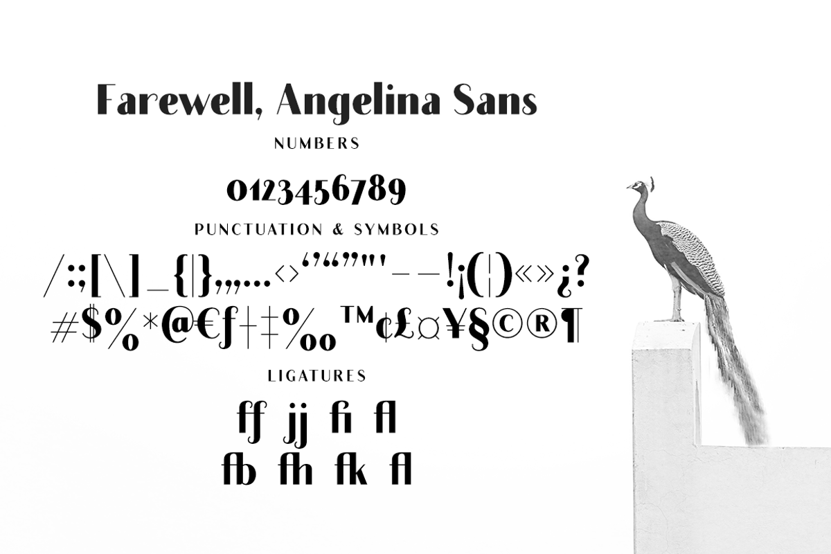 Farewell Angelina elegant Sans font preview 5