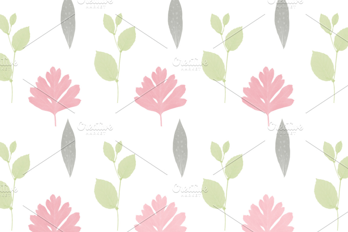 Pressed Leaves Photoshop Brushes, a Brush Add-On by Little Bean (Photo 3 of 5)