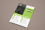Flyer Template, a Flyer Template by Alice_s (Thumbnail 2 of 10)