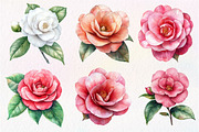 Camellia Flower Bloom Clipart, an Illustration by Dream Creation (Thumbnail 5 of 6)