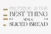 Erotique - 10 fonts, a Serif Font by Zetafonts (Thumbnail 5 of 14)