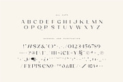 Poina - Beauty Ligature Font, a Sans Serif Font by suhadidesign (Thumbnail 12 of 12)