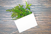 A5 Paper Mockups With Green Leaves, a Print Template by shahsoft (Thumbnail 3 of 3)