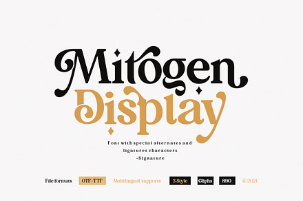 Mitogen Display + Signature, a Serif Font by Areatype