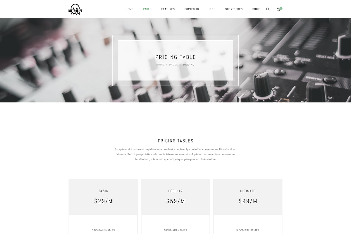 Metrolife Multipurpose PSD Template, a Websites & App Template by bigpsfan's SHOP (Photo 17 of 20)