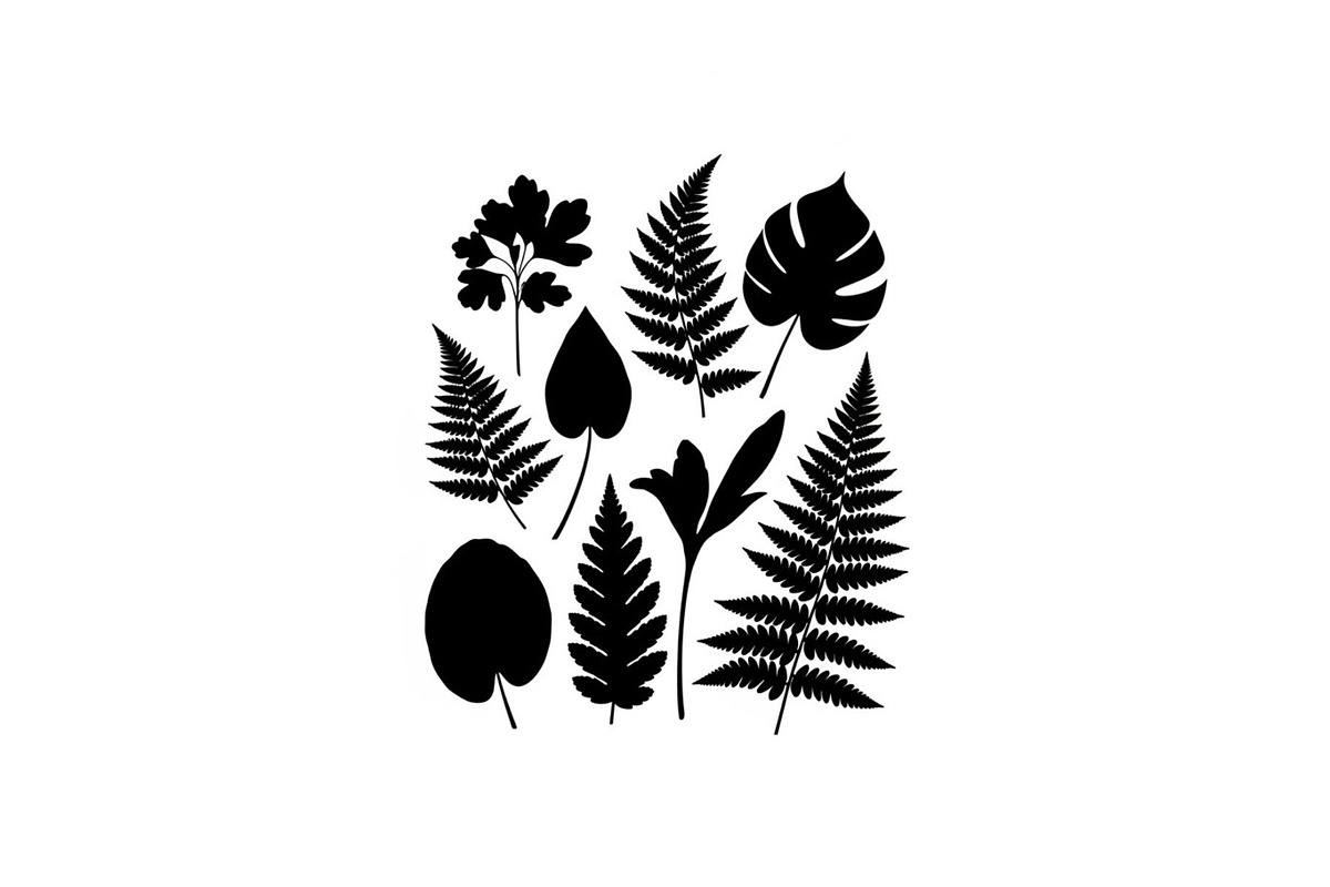 50 Botanical Garden Silhouette bundl, an Illustration by Designs_River (Photo 29 of 51)