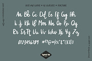 Wild Winter | Extensive Script Font, a Script Font by Typed Up Studio (Thumbnail 5 of 16)
