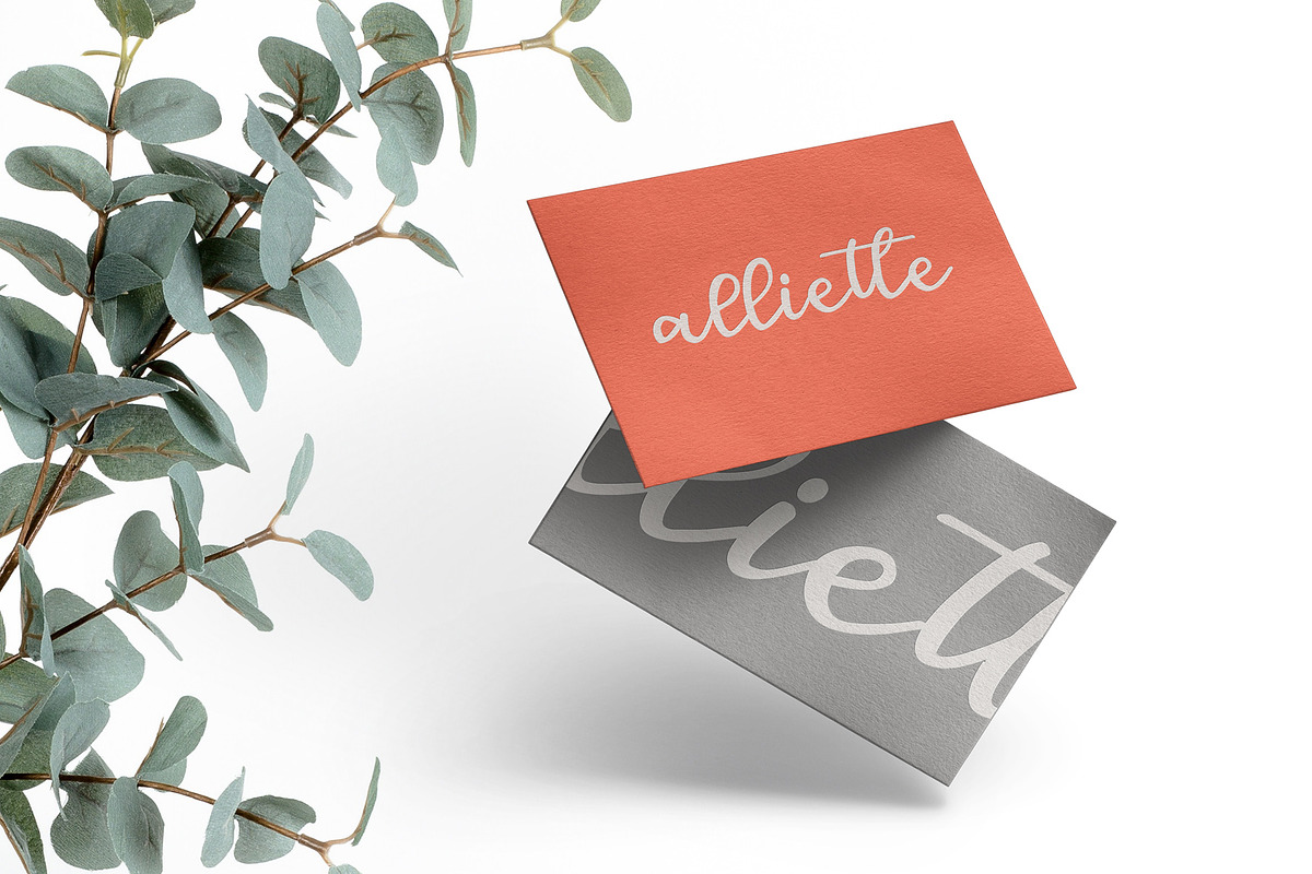 Sofia Script Font preview 4