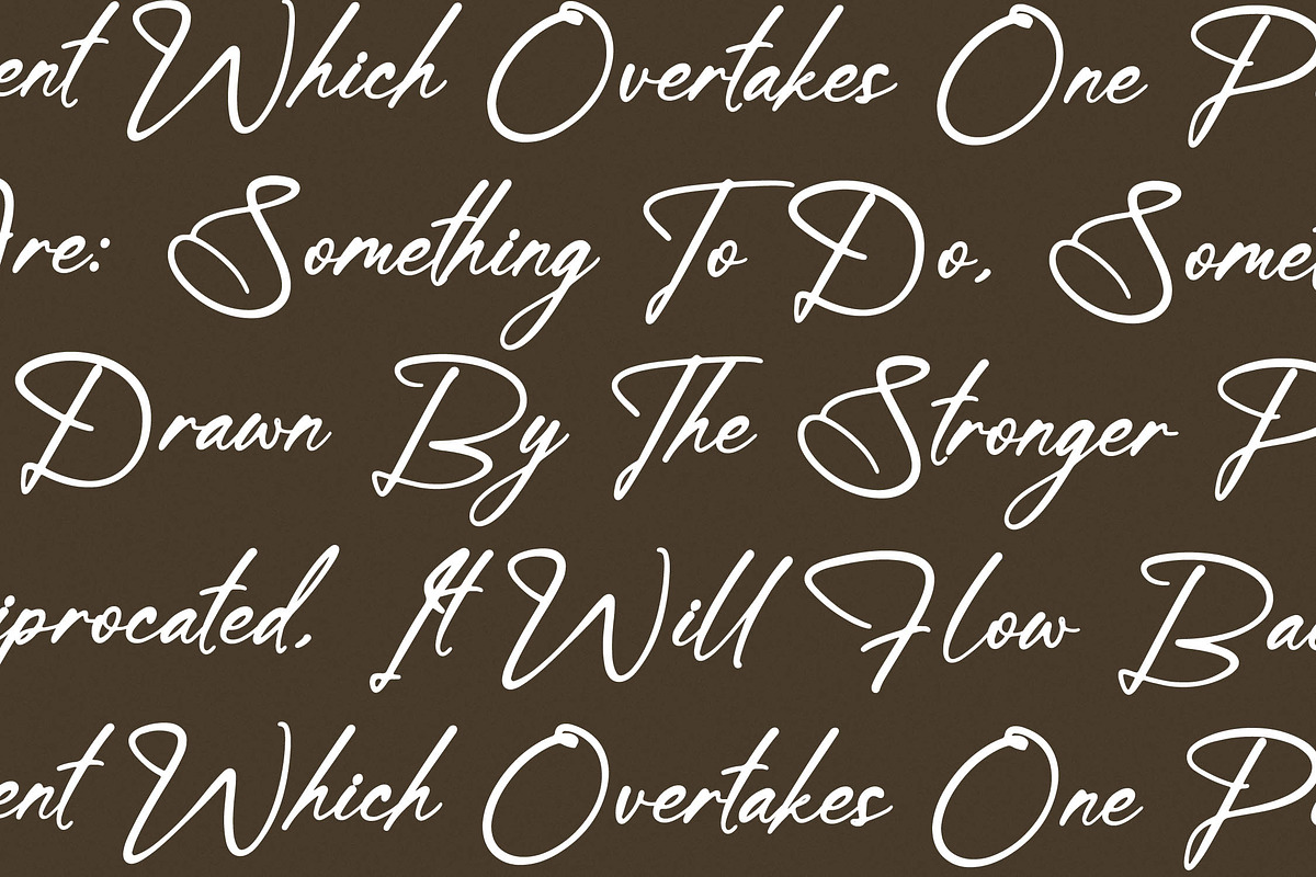 Michaello Refflection, a Script Font by Integritype Studio (Photo 15 of 15)