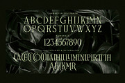 Celliqath Modern Display, a Serif Font by Storytype Studio (Thumbnail 13 of 15)