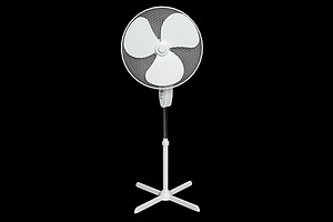 Oscillating Pedestal Fan