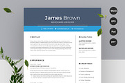 Minimalist Resume/CV, a Resume Template by Aspect_Studio (Thumbnail 1 of 4)