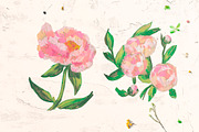 Peonies Clipart, an Illustration by Lucyinyourheart (Thumbnail 3 of 5)